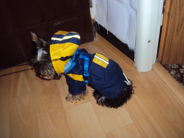 DSC00407