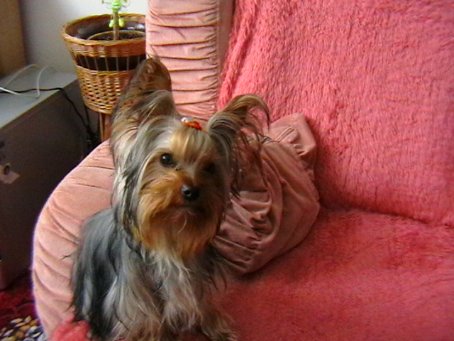 IMGA0003